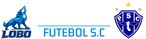 Camisas e Acessórios do Paysandu